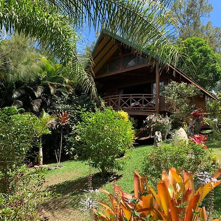 Le Nirvana - Oasis De Tendea - Farino Exterior foto